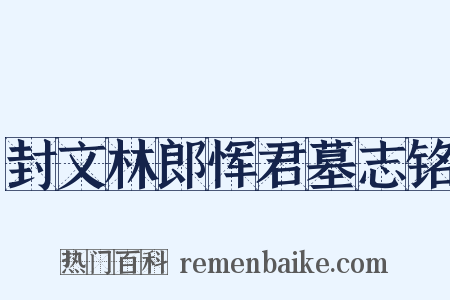 封文林郎恽君墓志铭是什么意思的图片
